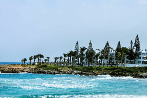living shoreline